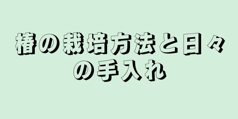 椿の栽培方法と日々の手入れ