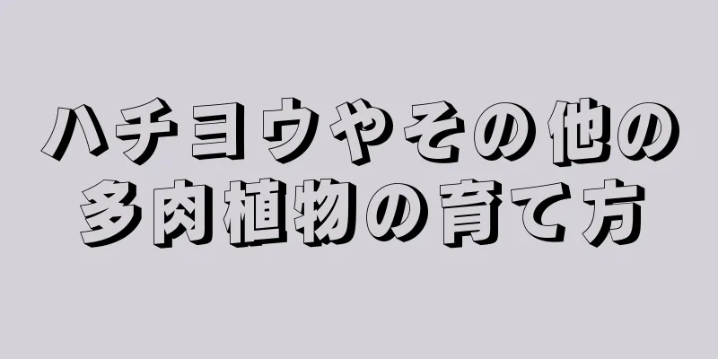 ハチヨウやその他の多肉植物の育て方