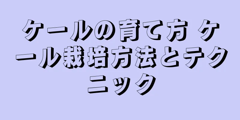 ケールの育て方 ケール栽培方法とテクニック
