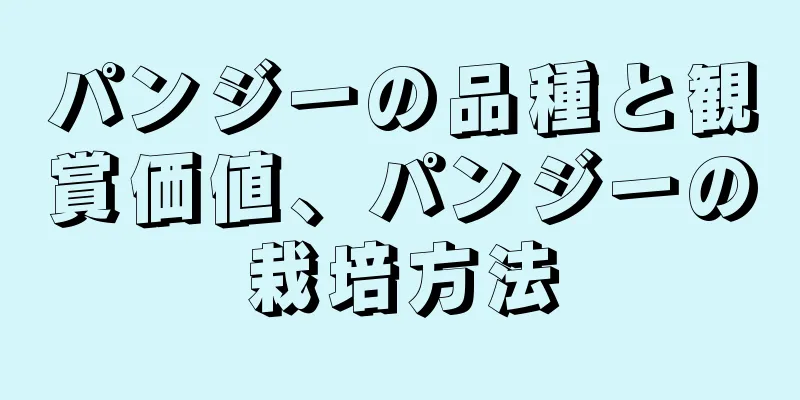 パンジーの品種と観賞価値、パンジーの栽培方法