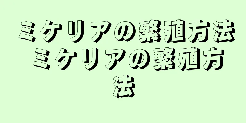 ミケリアの繁殖方法 ミケリアの繁殖方法