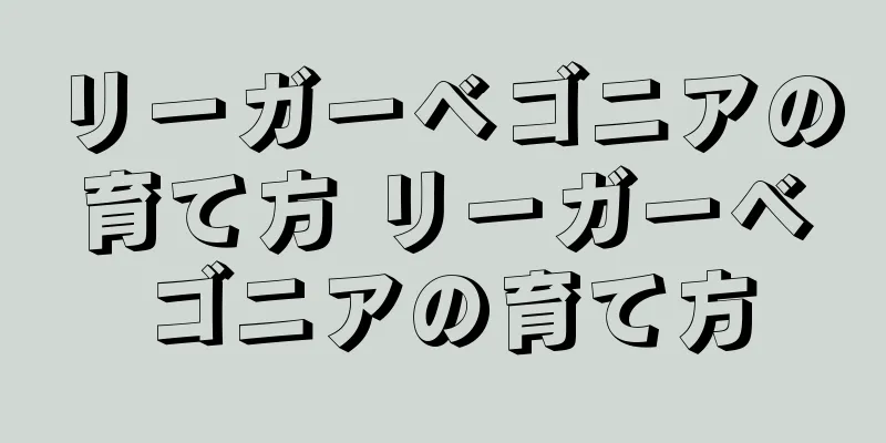 リーガーベゴニアの育て方 リーガーベゴニアの育て方