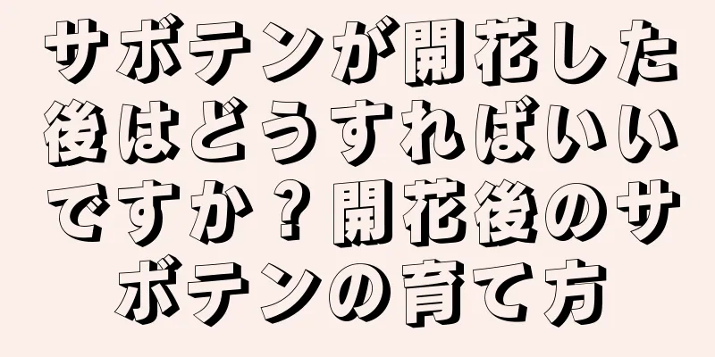 サボテンが開花した後はどうすればいいですか？開花後のサボテンの育て方