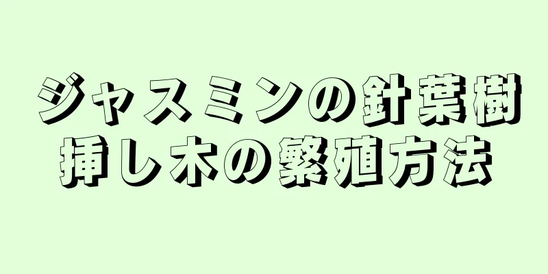 ジャスミンの針葉樹挿し木の繁殖方法