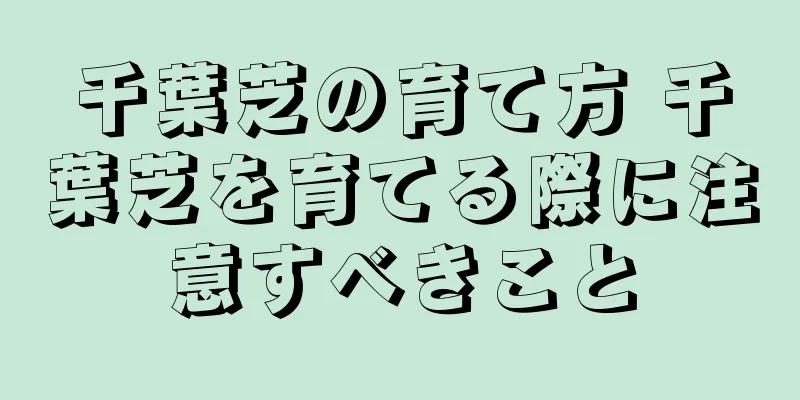 千葉芝の育て方 千葉芝を育てる際に注意すべきこと