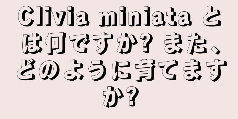 Clivia miniata とは何ですか? また、どのように育てますか?