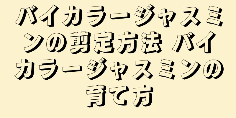 バイカラージャスミンの剪定方法 バイカラージャスミンの育て方