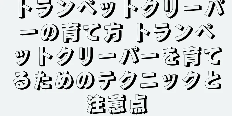 トランペットクリーパーの育て方 トランペットクリーパーを育てるためのテクニックと注意点