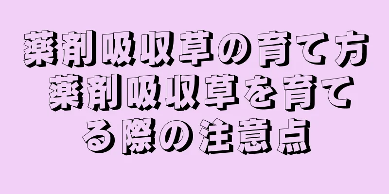 薬剤吸収草の育て方 薬剤吸収草を育てる際の注意点