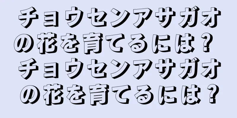 チョウセンアサガオの花を育てるには？ チョウセンアサガオの花を育てるには？