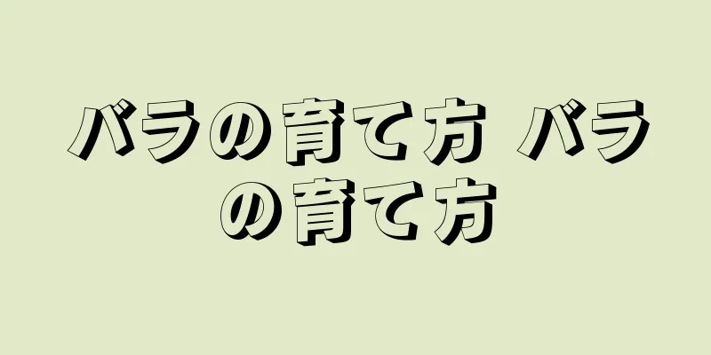 バラの育て方 バラの育て方