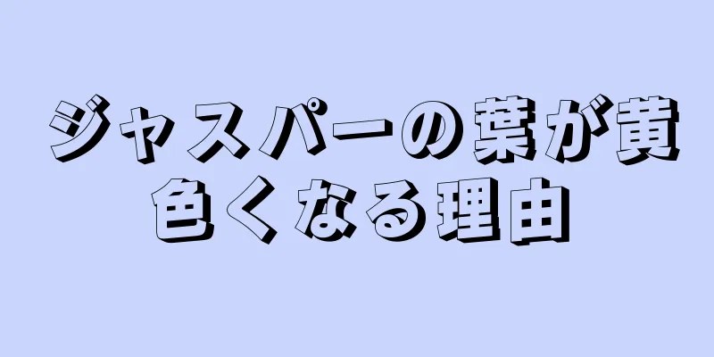 ジャスパーの葉が黄色くなる理由