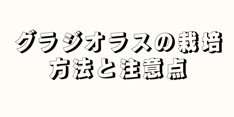 グラジオラスの栽培方法と注意点
