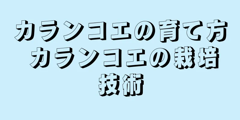 カランコエの育て方 カランコエの栽培技術