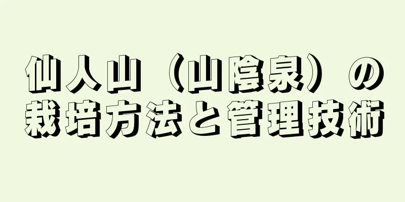 仙人山（山陰泉）の栽培方法と管理技術
