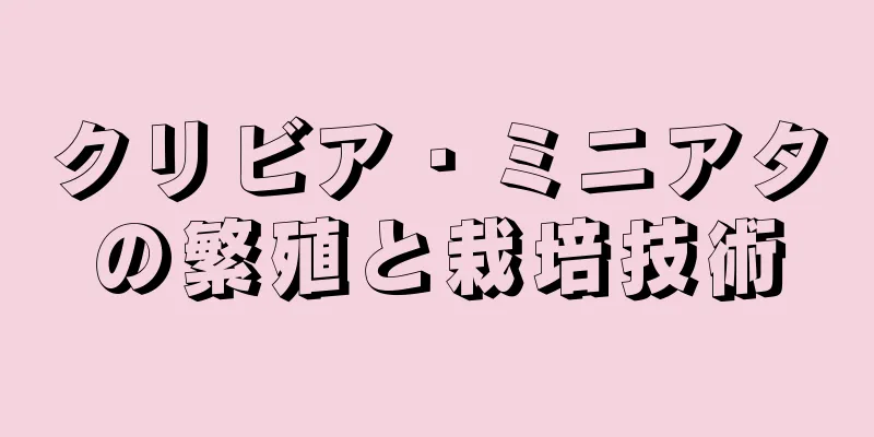 クリビア・ミニアタの繁殖と栽培技術
