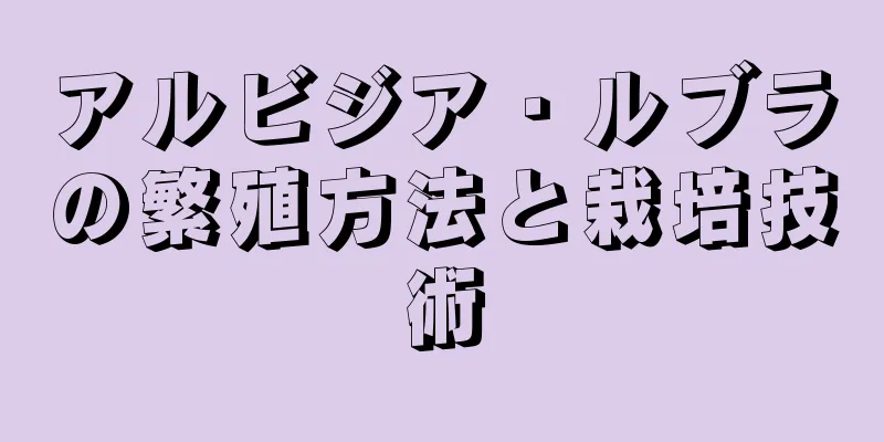 アルビジア・ルブラの繁殖方法と栽培技術
