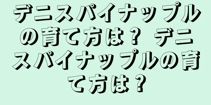 デニスパイナップルの育て方は？ デニスパイナップルの育て方は？