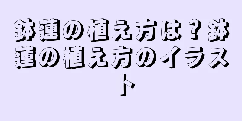 鉢蓮の植え方は？鉢蓮の植え方のイラスト