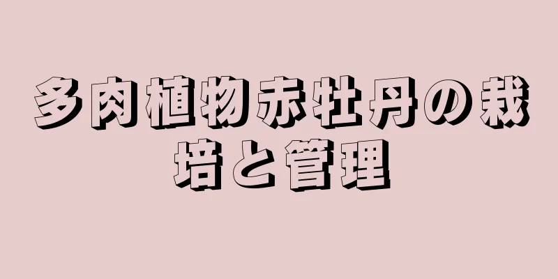 多肉植物赤牡丹の栽培と管理