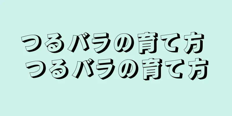 つるバラの育て方 つるバラの育て方