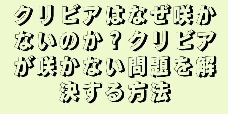 クリビアはなぜ咲かないのか？クリビアが咲かない問題を解決する方法