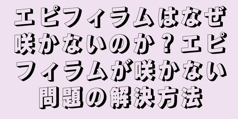 エピフィラムはなぜ咲かないのか？エピフィラムが咲かない問題の解決方法