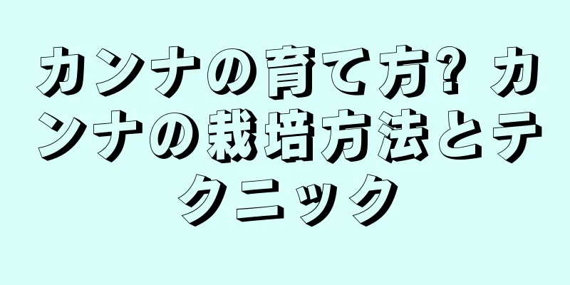 カンナの育て方? カンナの栽培方法とテクニック