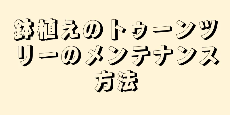 鉢植えのトゥーンツリーのメンテナンス方法