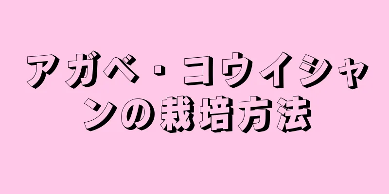 アガベ・コウイシャンの栽培方法