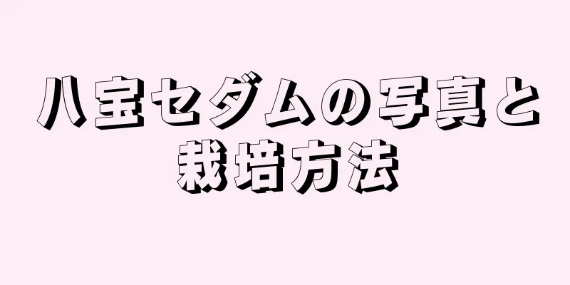 八宝セダムの写真と栽培方法