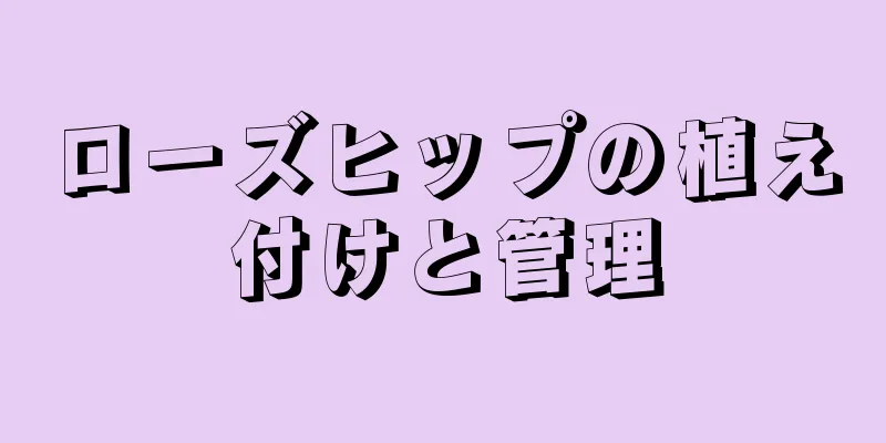 ローズヒップの植え付けと管理