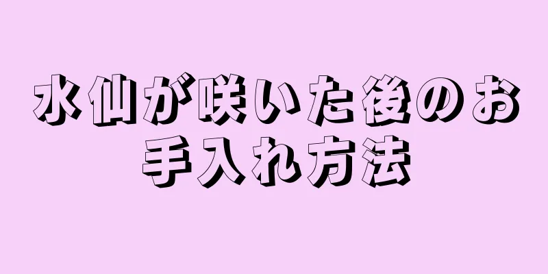 水仙が咲いた後のお手入れ方法