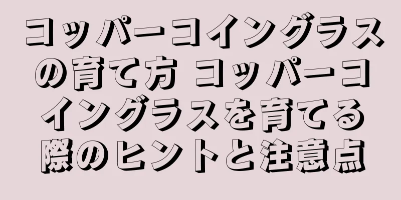 コッパーコイングラスの育て方 コッパーコイングラスを育てる際のヒントと注意点