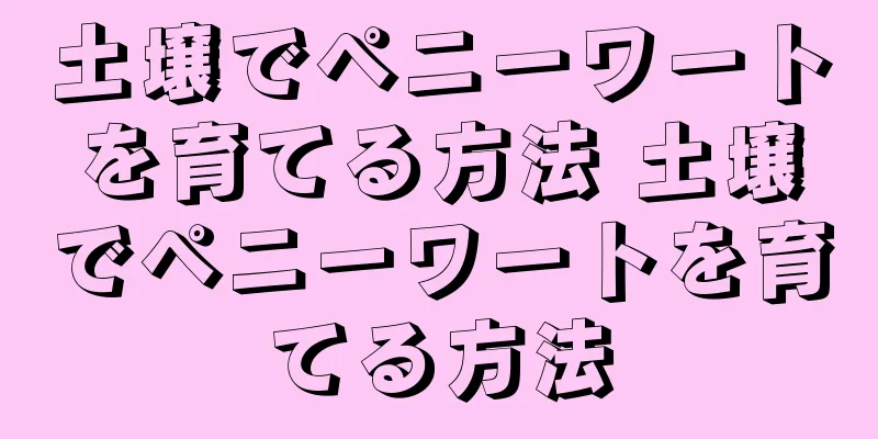 土壌でペニーワートを育てる方法 土壌でペニーワートを育てる方法