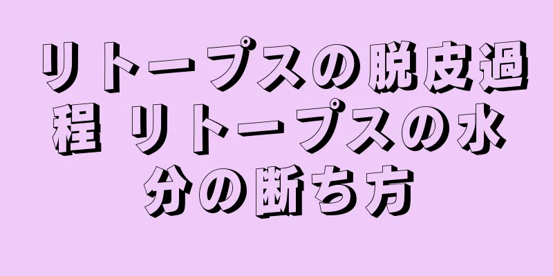 リトープスの脱皮過程 リトープスの水分の断ち方
