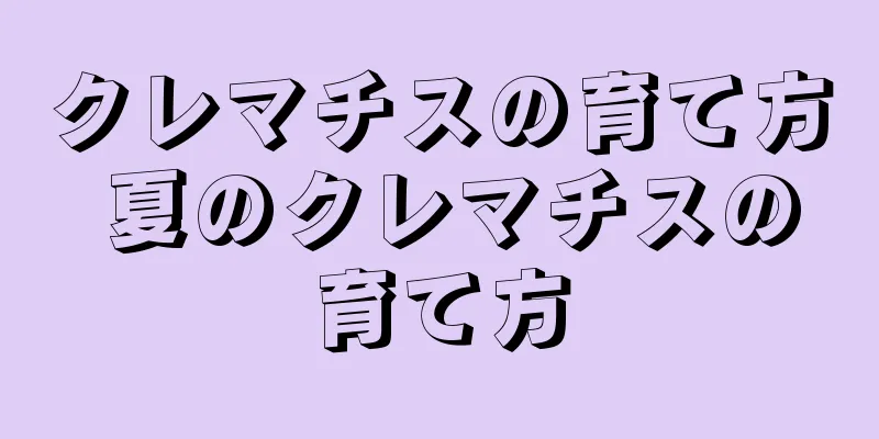 クレマチスの育て方 夏のクレマチスの育て方