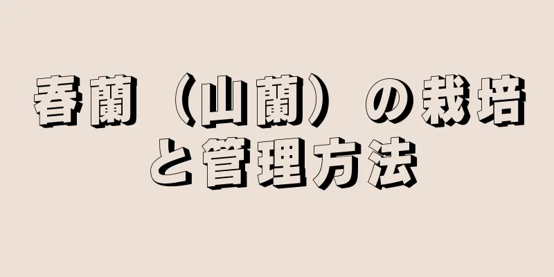 春蘭（山蘭）の栽培と管理方法