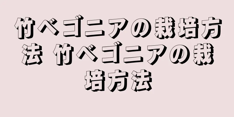竹ベゴニアの栽培方法 竹ベゴニアの栽培方法