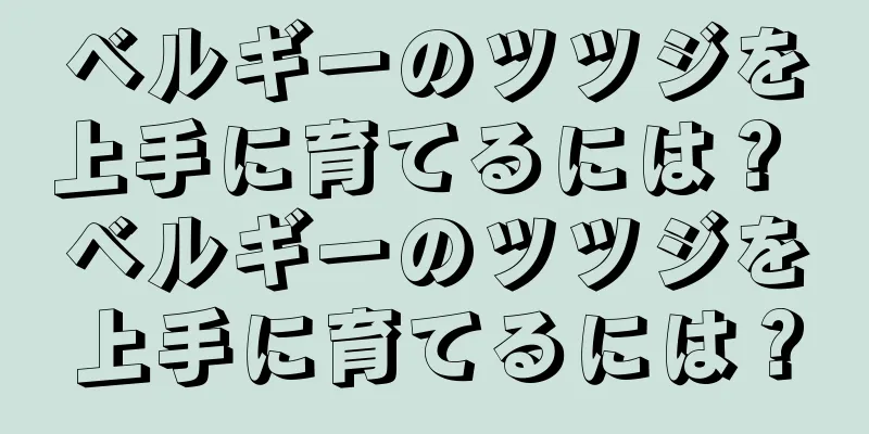 ベルギーのツツジを上手に育てるには？ ベルギーのツツジを上手に育てるには？