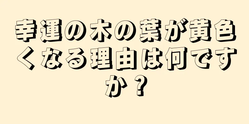 幸運の木の葉が黄色くなる理由は何ですか？