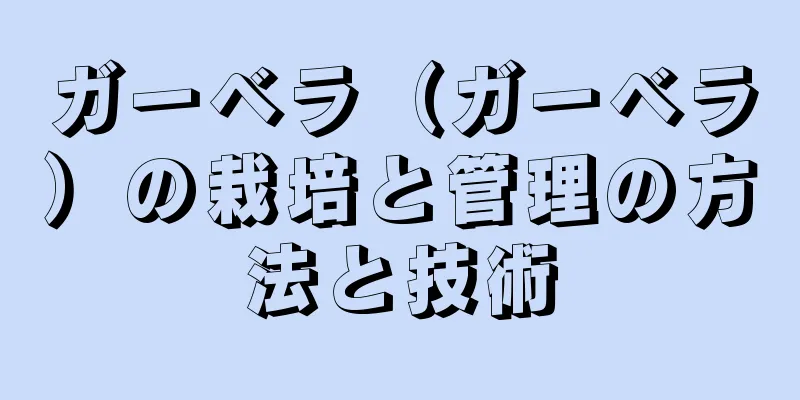ガーベラ（ガーベラ）の栽培と管理の方法と技術