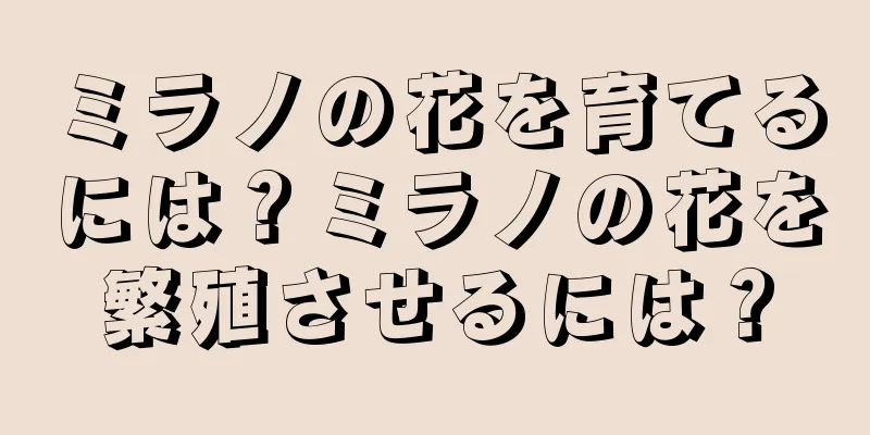ミラノの花を育てるには？ミラノの花を繁殖させるには？