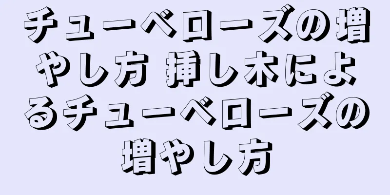 チューベローズの増やし方 挿し木によるチューベローズの増やし方
