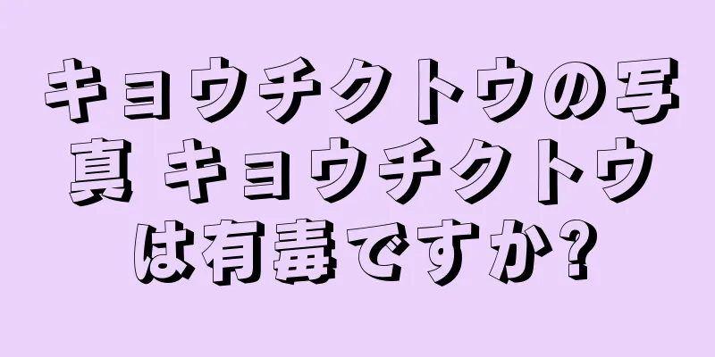 キョウチクトウの写真 キョウチクトウは有毒ですか?