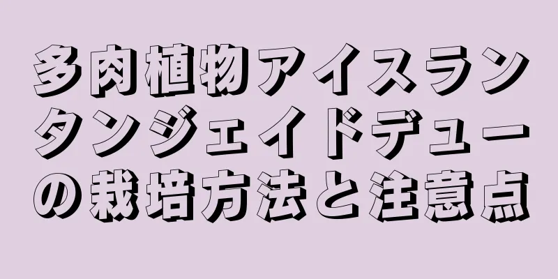 多肉植物アイスランタンジェイドデューの栽培方法と注意点