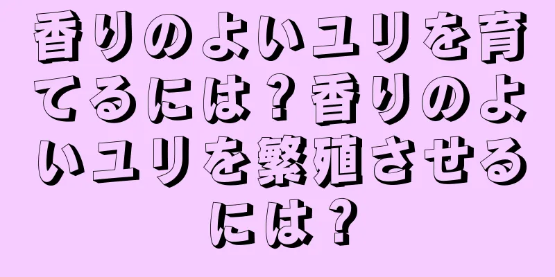 香りのよいユリを育てるには？香りのよいユリを繁殖させるには？