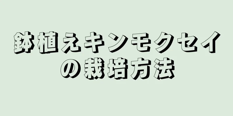 鉢植えキンモクセイの栽培方法