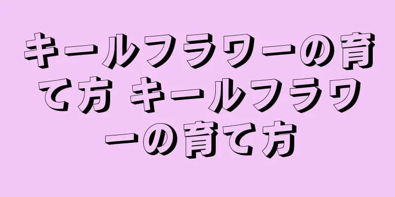 キールフラワーの育て方 キールフラワーの育て方