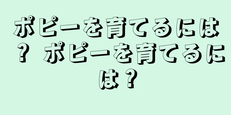ポピーを育てるには？ ポピーを育てるには？